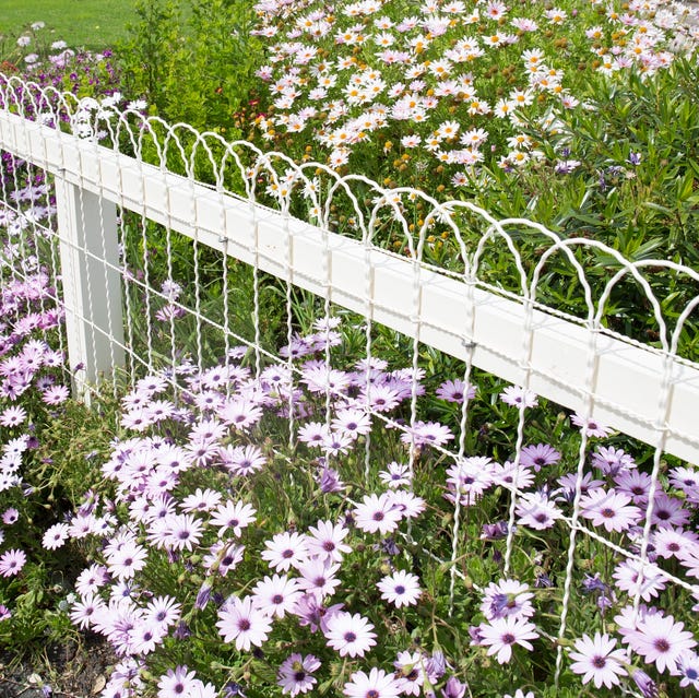 garden fence ideas