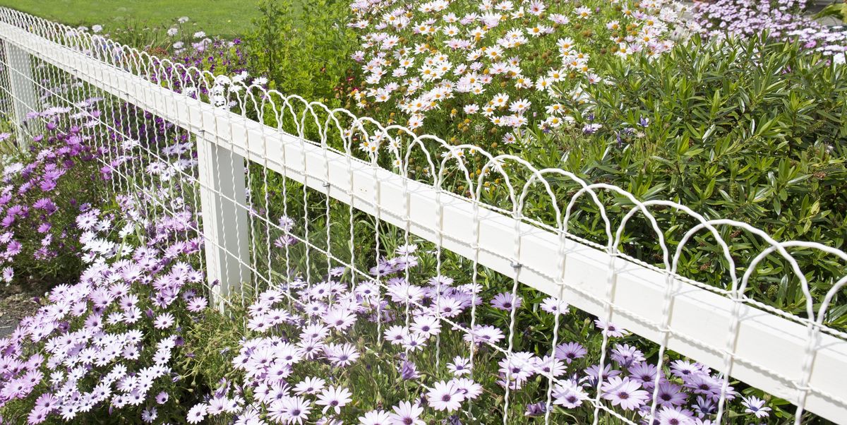 35 Best Garden Fence Ideas - Different Types Of Garden Fences