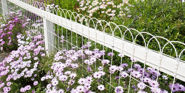 35 Best Garden Fence Ideas - Different Types Of Garden Fences