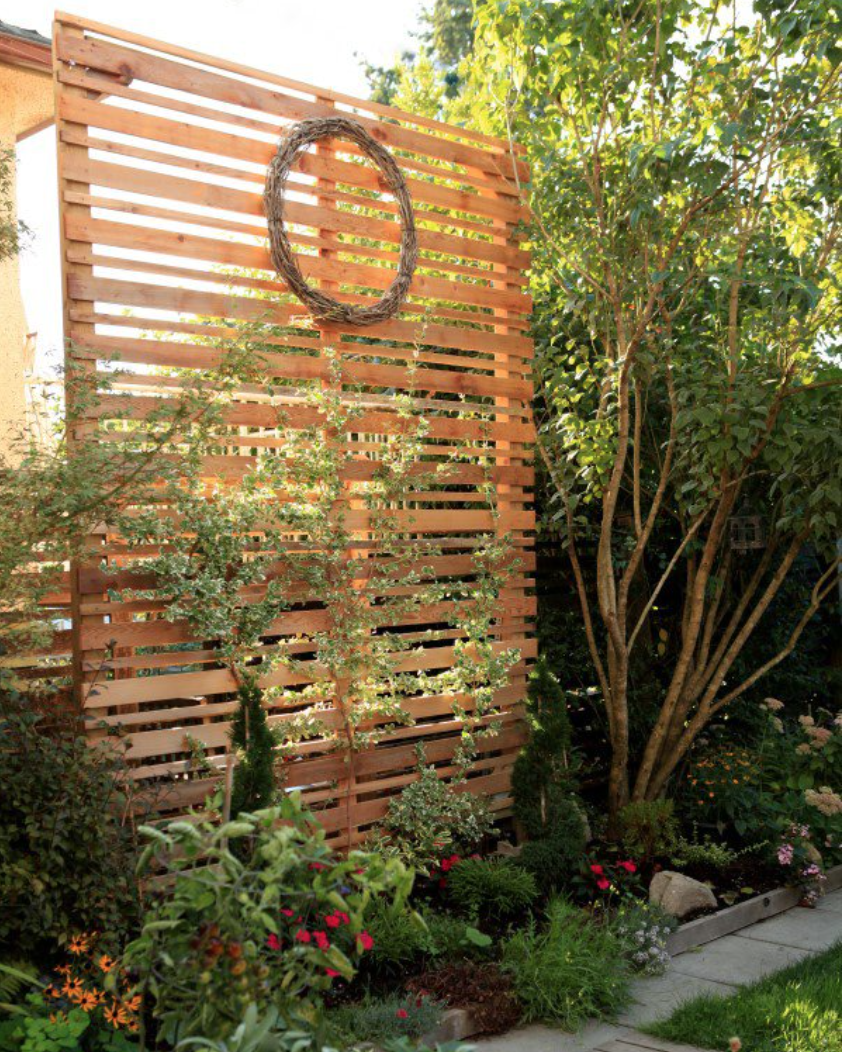 garden fence ideas diy espalier privacy screen