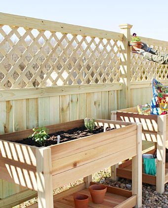 garden fence ideas lattice privacy wall with hanging flowers