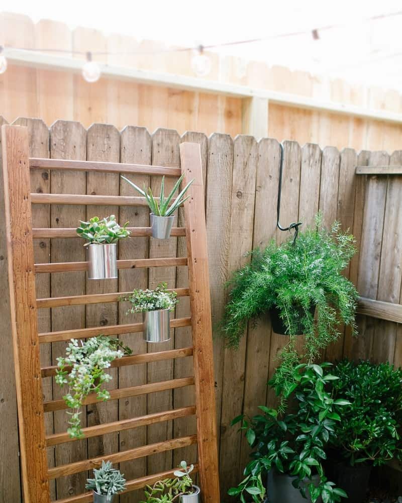 Four bamboo decoration ideas!!! Swipe to see all of them