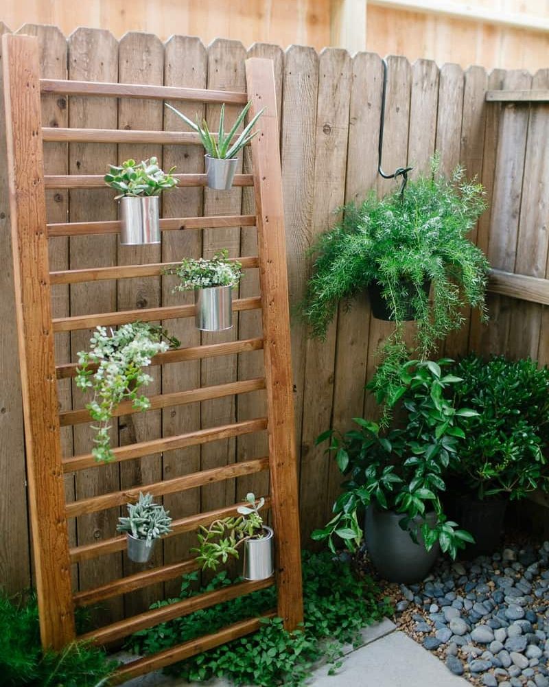 garden fence ideas succulent wall