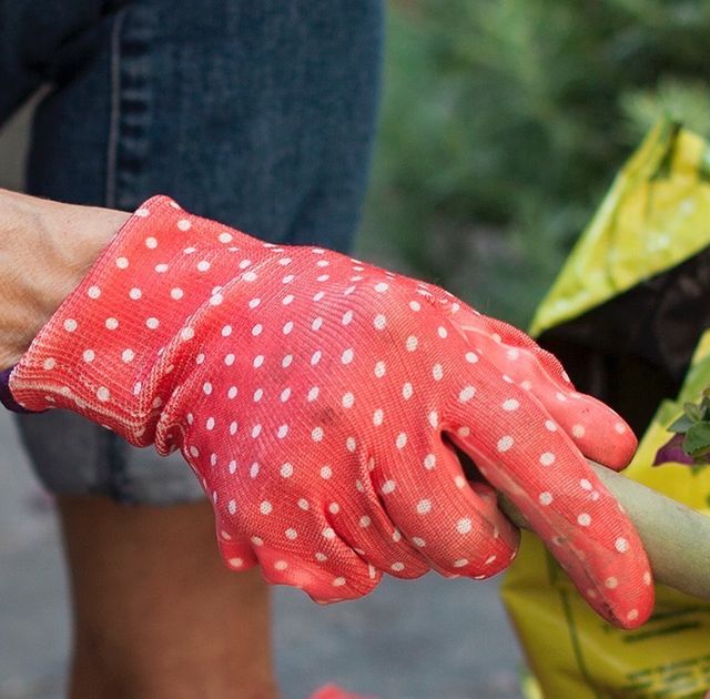 Best gardening gloves