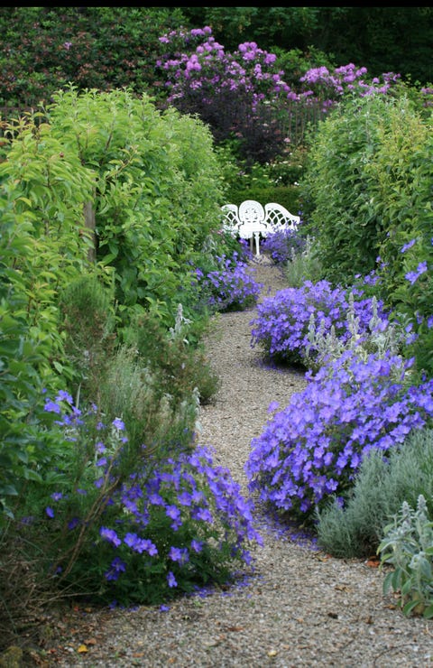 8 Best Cottage Garden Ideas - How to Create a Cottage Garden at Home