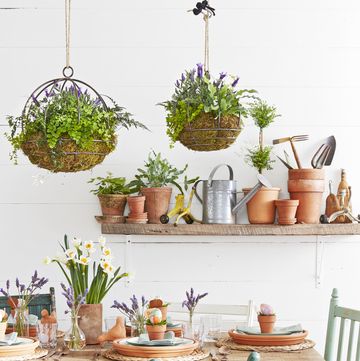 hanging baskets with moss, lavender, and ferns in dining room