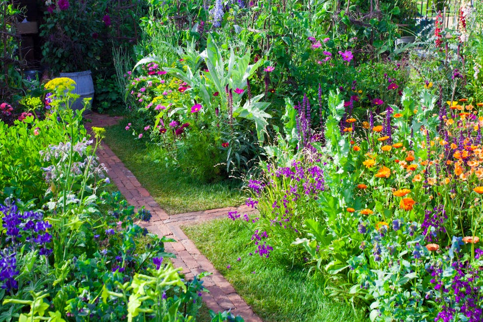 Manoj Malde's Guide To Achieving A Wow Factor Garden