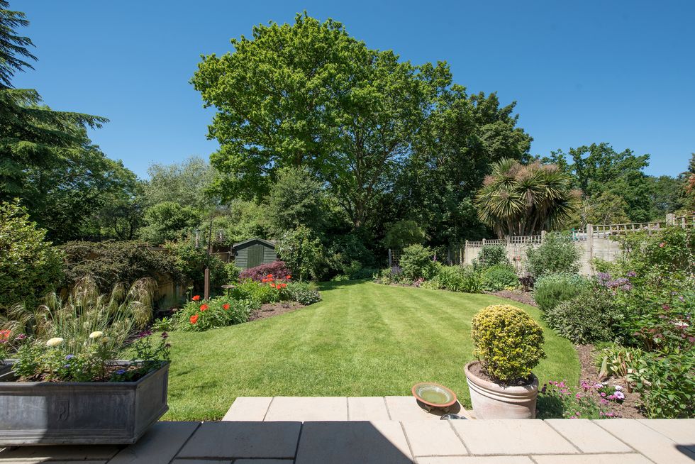 a general view looking down a back garden from a patio, laid to lawn with flower beds, small shed and large trees on a hot summers day with clear blue sky