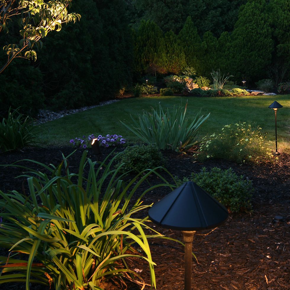 garden lighting ideas