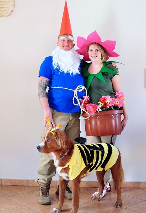 garden matching dog owners costumes