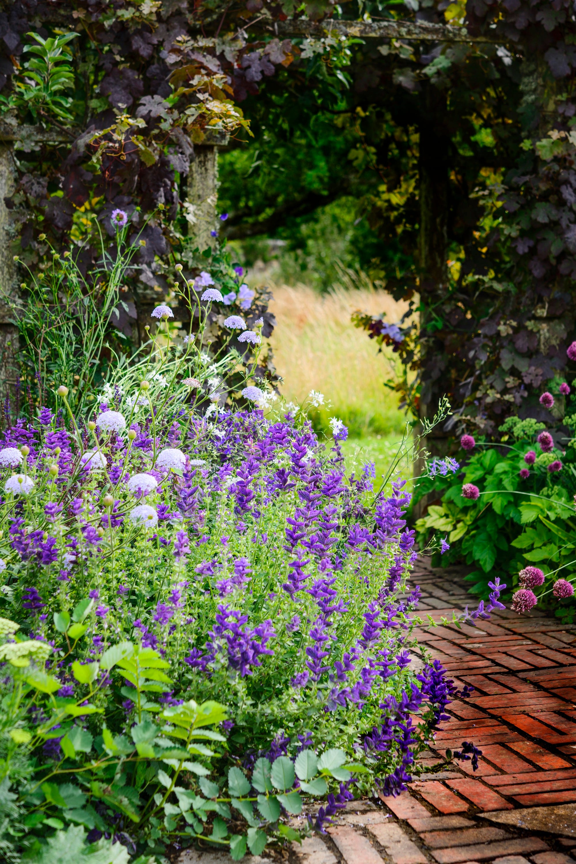 10 garden path ideas