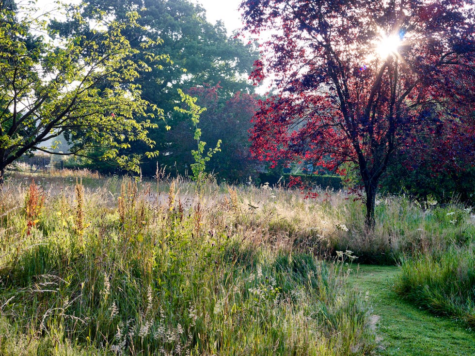 10 garden path ideas