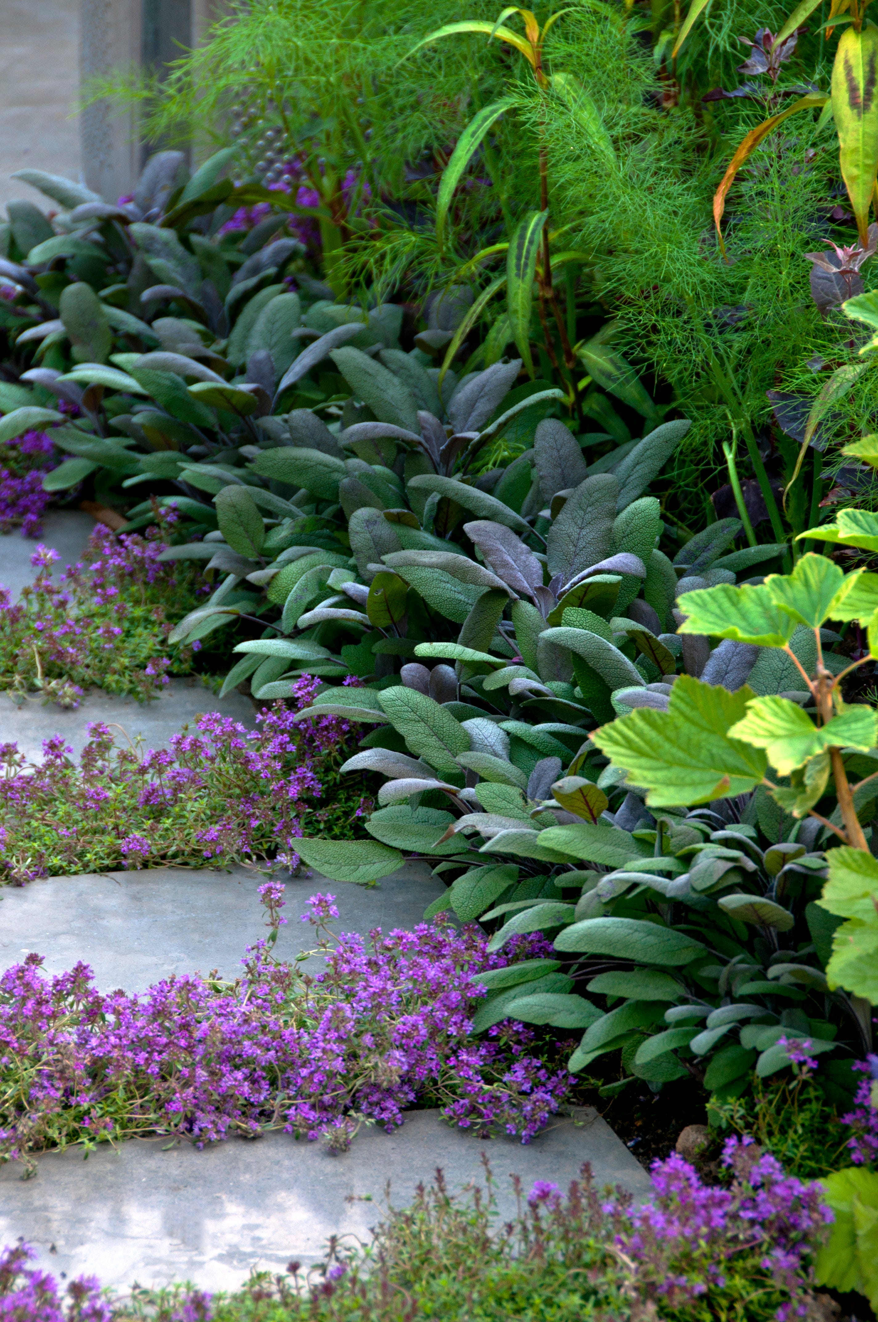 10-garden-path-ideas