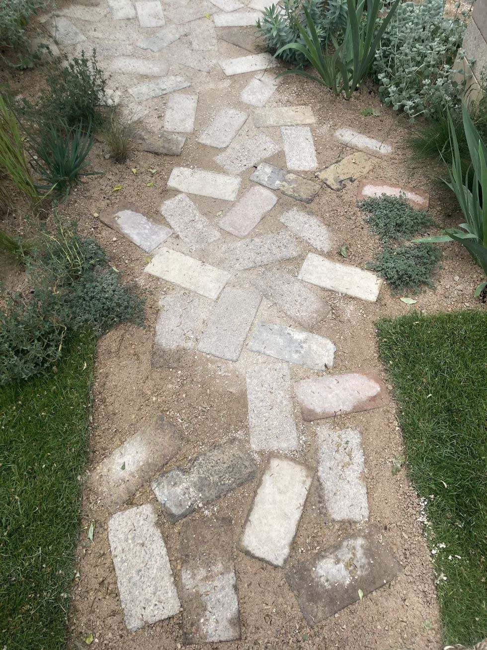 a stone pathway with grass and bushes