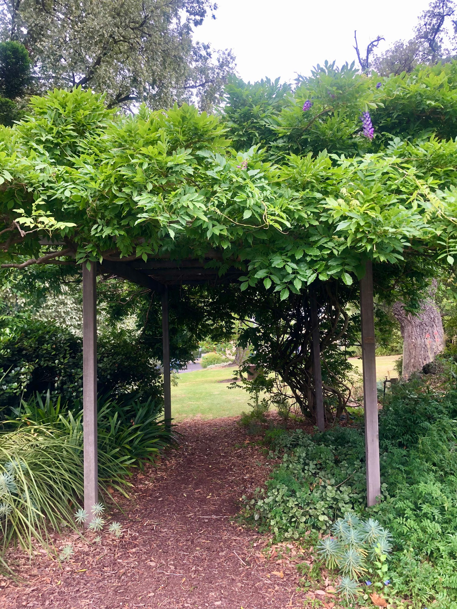 18 Backyard Shade Ideas to Cool Down Without Sacrificing Style