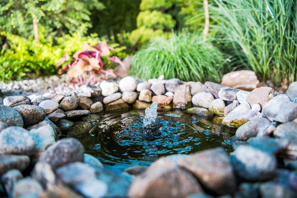 garden place little pond