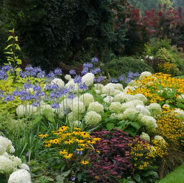 Garden flower bed
