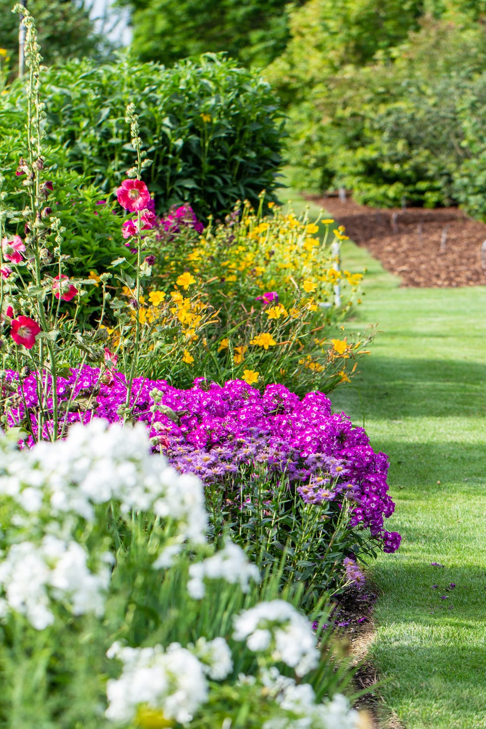 How To Protect Your Garden And Plants During A Heatwave