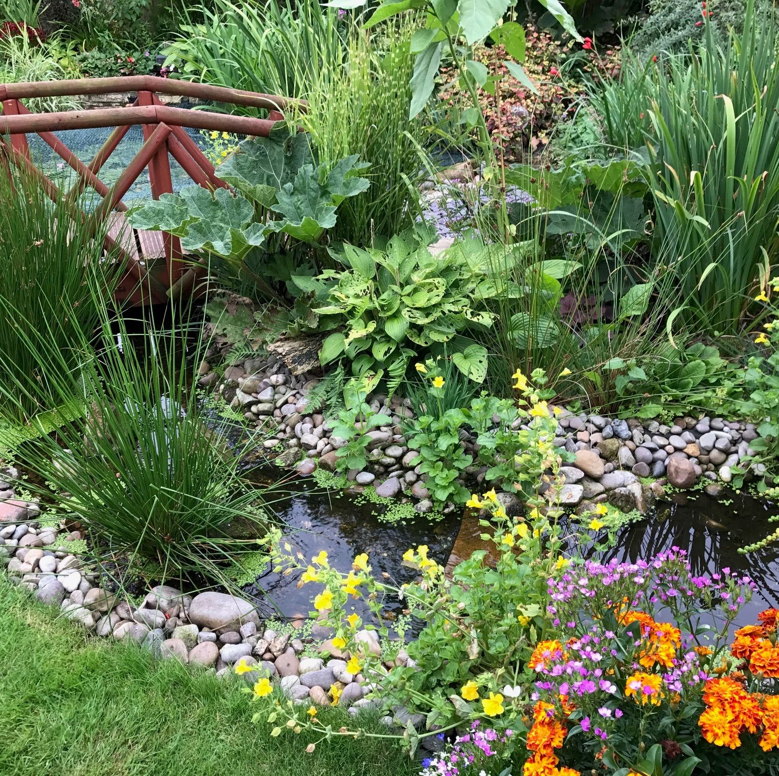 How to build your own garden pond