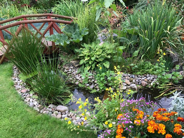 How To Build Your Own Pond In Your Garden – Large Ponds To Container Ponds