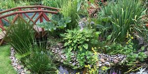 How to build your own garden pond