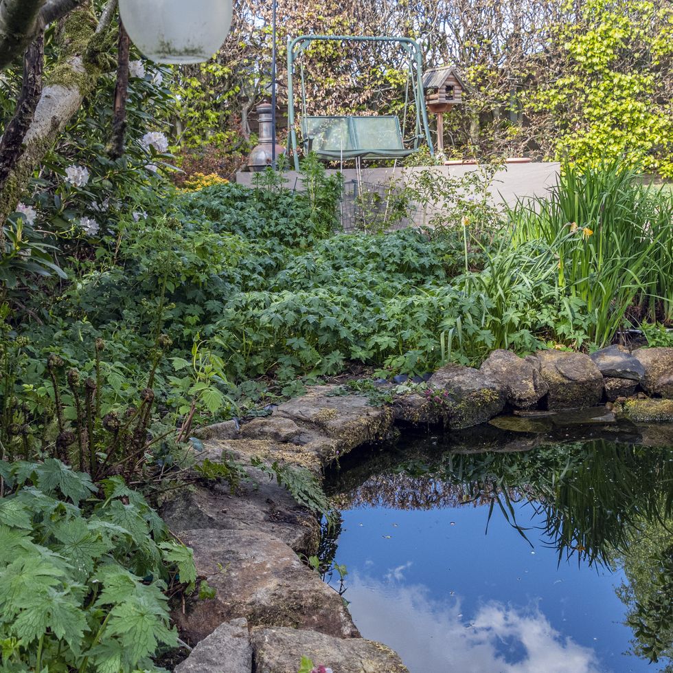 a garden pond surrounded with new spring growth and a patio with a seating area