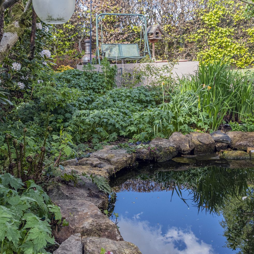 a garden pond surrounded with new spring growth and a patio with a seating area