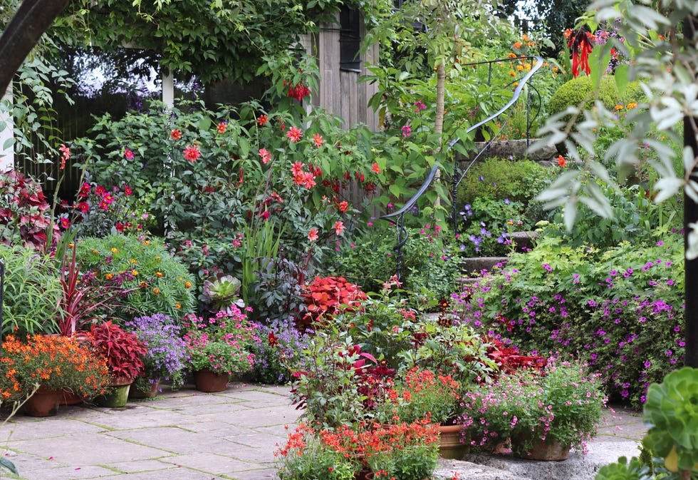 flowers in garden
