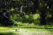 best time to water grass how long to water grass