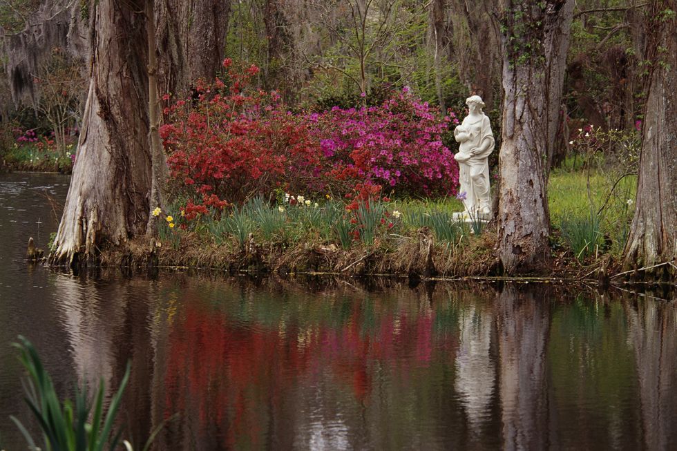 garden statue and blooming azaleas at magnolia plantation