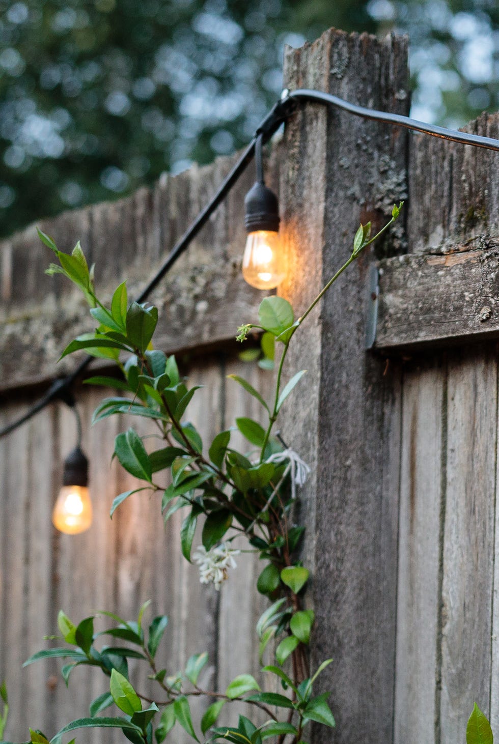 18. Globe String Lights