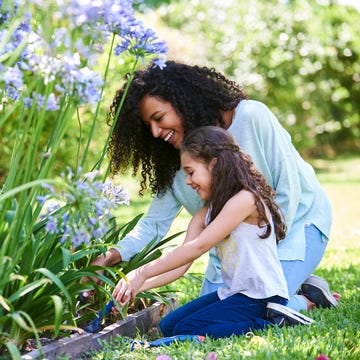 Garden things you aren't cleaning but should be garden things you aren't cleaning but should be