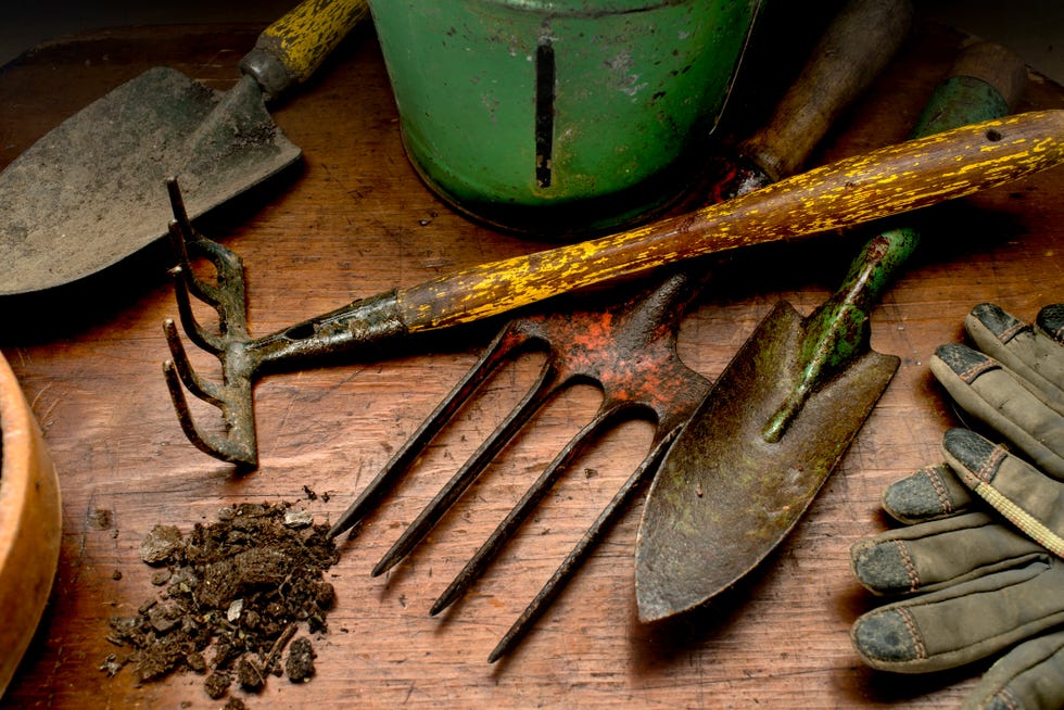 garden tools on wood
