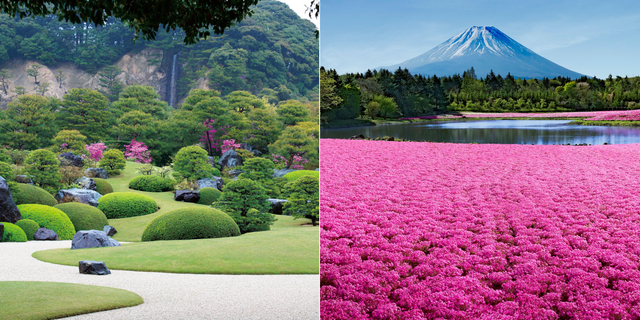 植物に癒される！日本の美しい庭園＆花畑