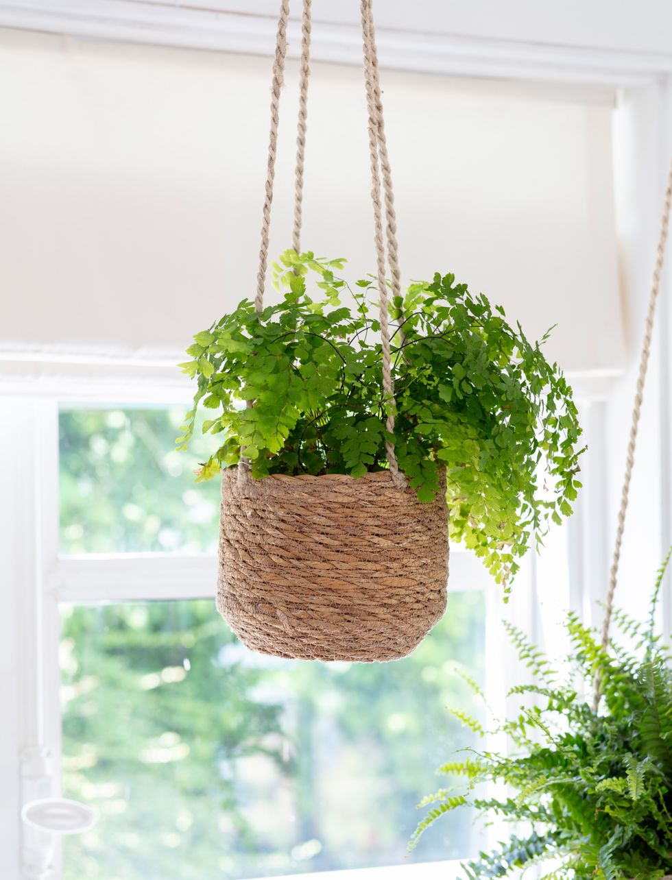woven hanging plant pot, £8, garden trading﻿