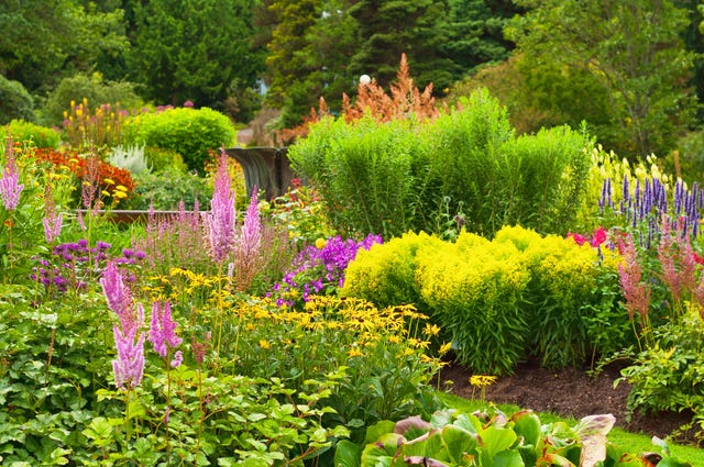 backyard garden with wildflowers