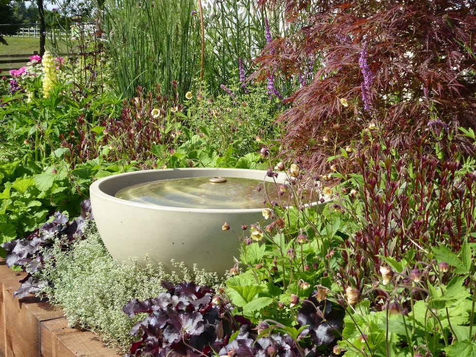 Manoj Malde's Guide To Achieving A Wow Factor Garden