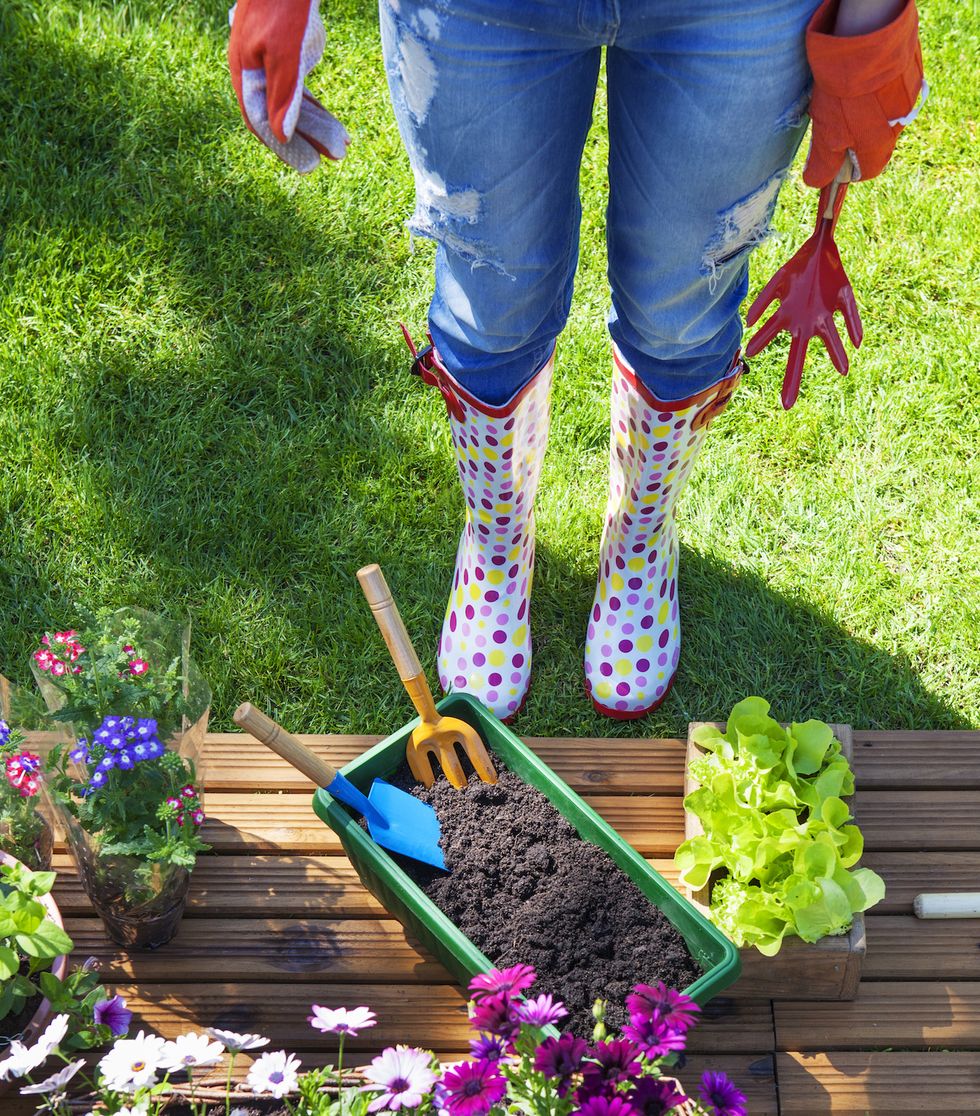 Gardening Boosts Wellbeing As Much As Exercise, Says RHS