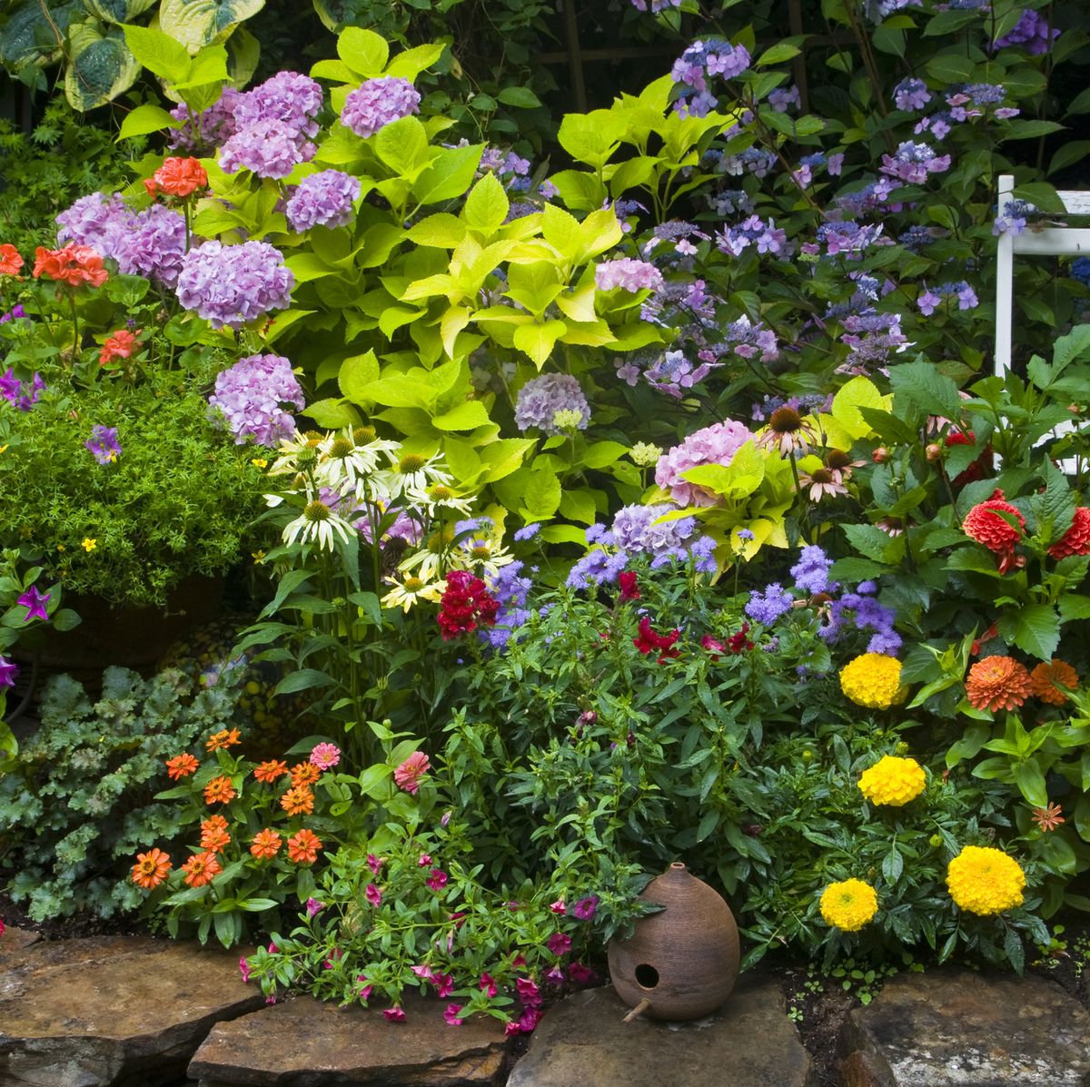 How to Grow a Flower Garden - World of Flowering Plants