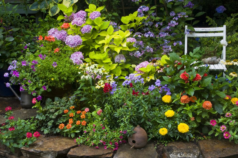 garden with chair