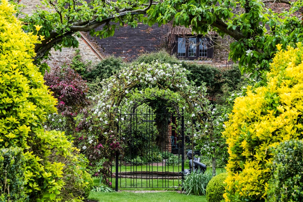 garden with shrubs and arbor with flowering plants in spring, cottage in the background