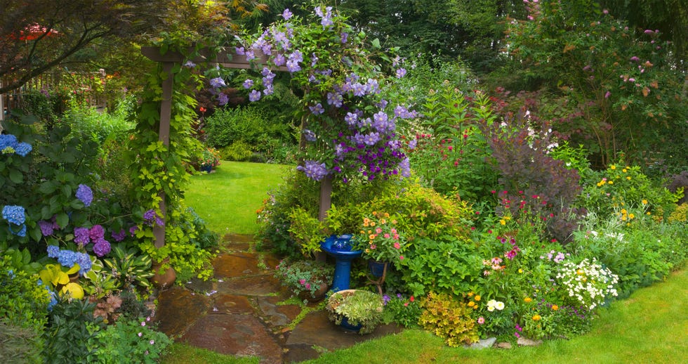 garden with various flowers