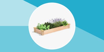 best raised garden beds