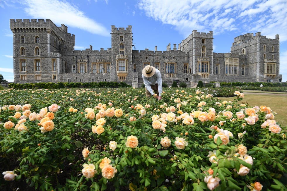 windsor castle