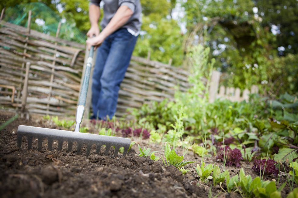 The Complete Guide to Raised Beds • Gardenary