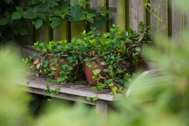 Gardener's corner