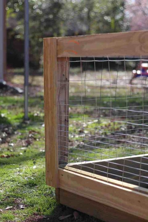 chicken wire garden best fence ideas