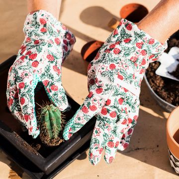 gardening gloves best 2018