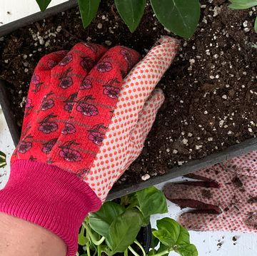 red gardening gloves digging into windowsill planter