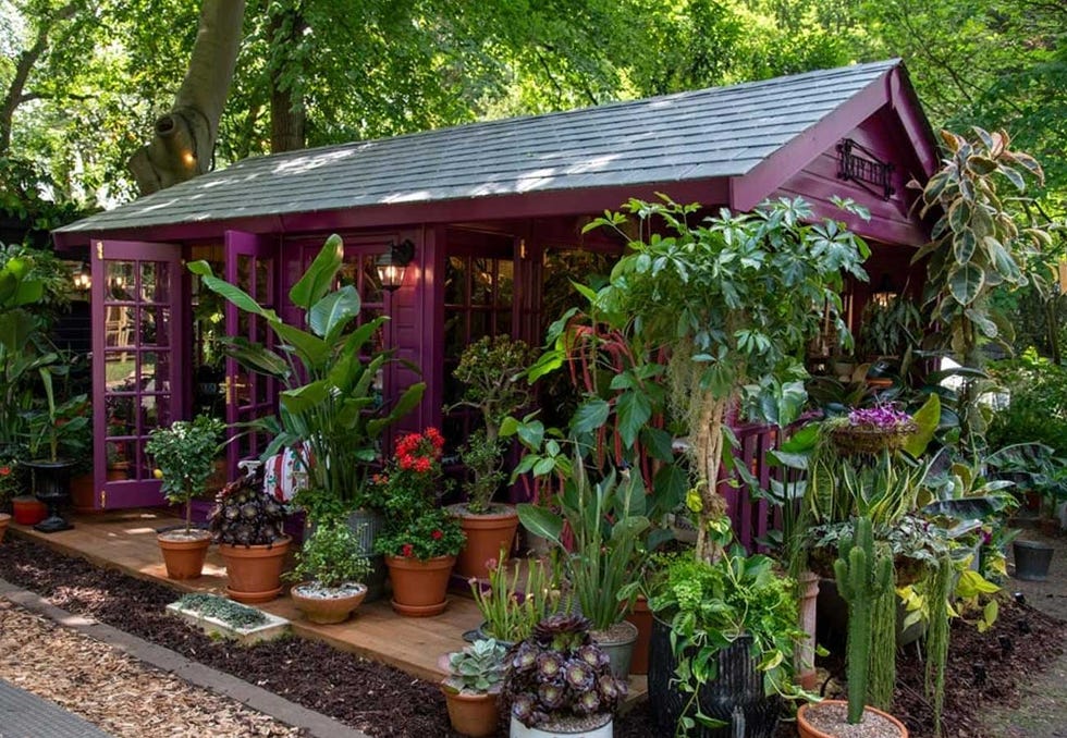 chelsea flower show winners